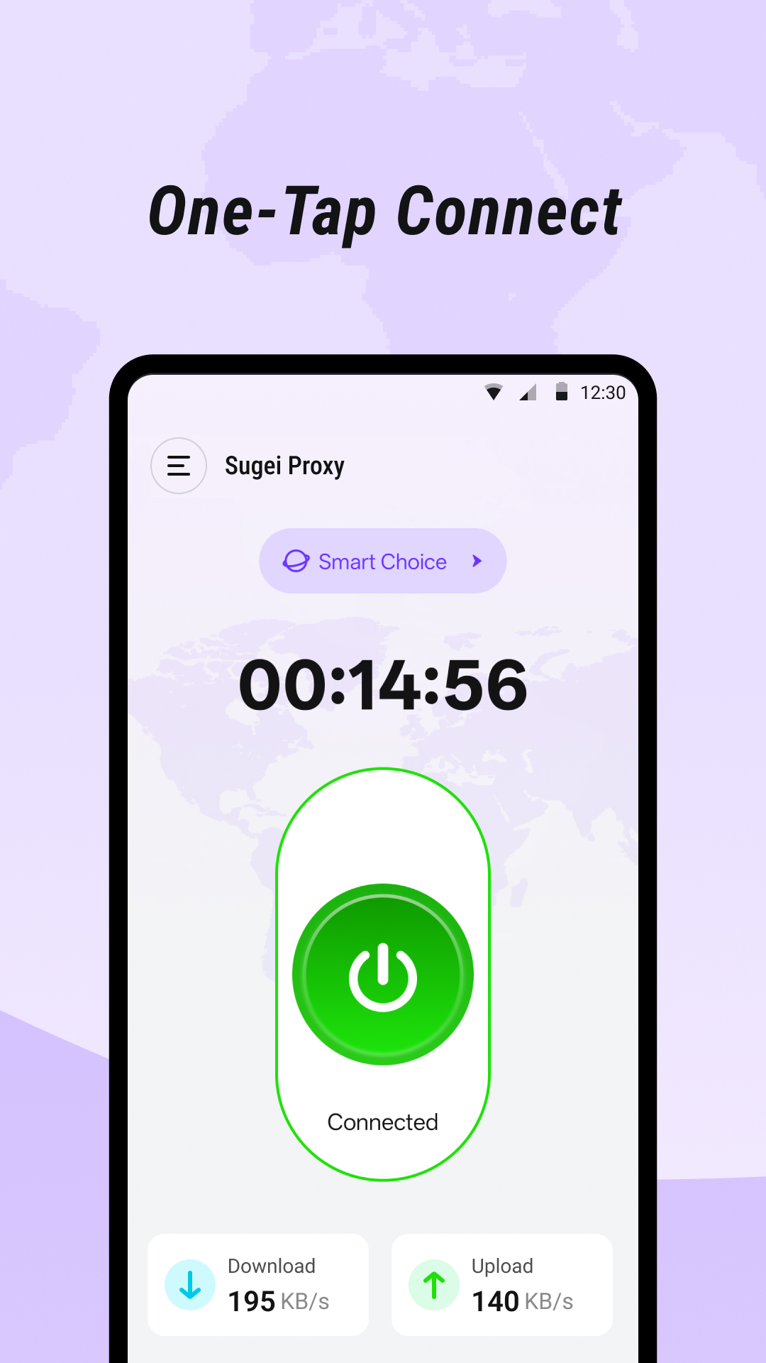 Sugei Proxy Security